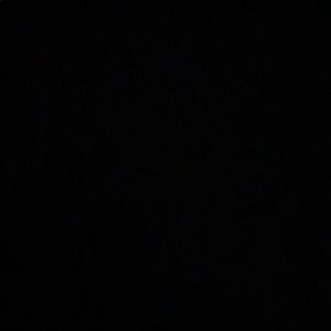 Meet your Posher, Faith